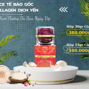 KEM NGÃ€Y Táº¾ BÃ€O Gá»C COLLAGEN Dá»ŠCH Yáº¾N ( Há»™p to 55gr )