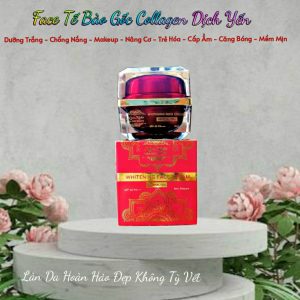 KEM FACE Táº¾ BÃ€O Gá»C COLLAGEN Dá»ŠCH Yáº¾N [Há»™p Äáº¡i 55gr]